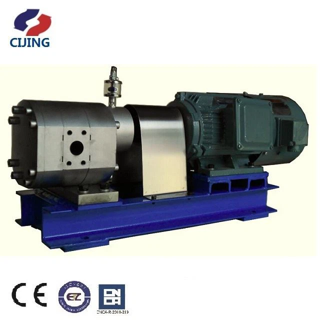 Stainless Steel Metering Pump