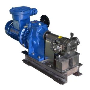 बाहरी स्टेनलेस स्टील गियर पंप