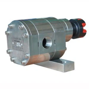 स्टेनलेस स्टील पंप