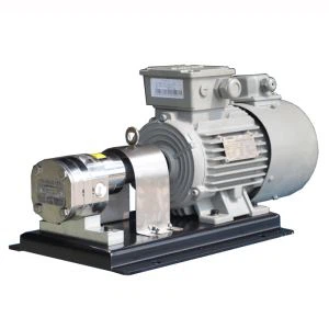 स्टेनलेस स्टील रोटरी गियर पंप