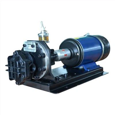 प्रबलित कार्बन मिश्रित सामग्री के साथ एसिड रासायनिक गियर पंप