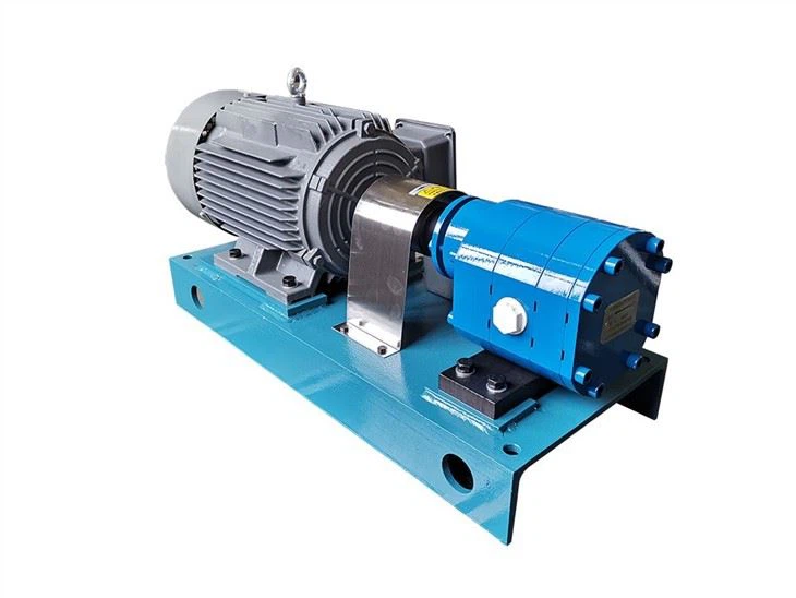 LM481 Special Gear Pump