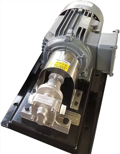 अपघर्षक विशेष पंप